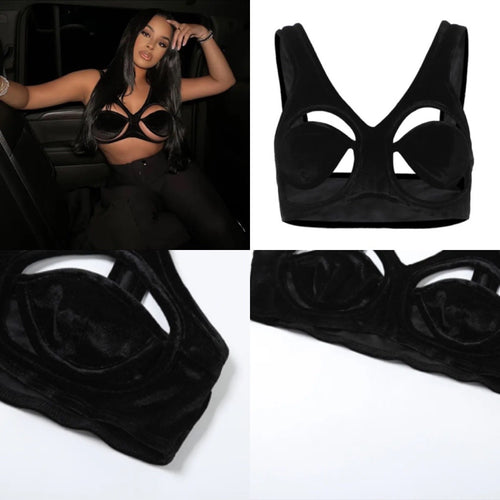 joie velvet top